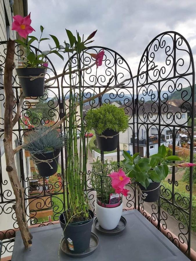 Appartement Au Cigogneau Wifi-Netflix-Balcon-Parking Munster  Exterior foto