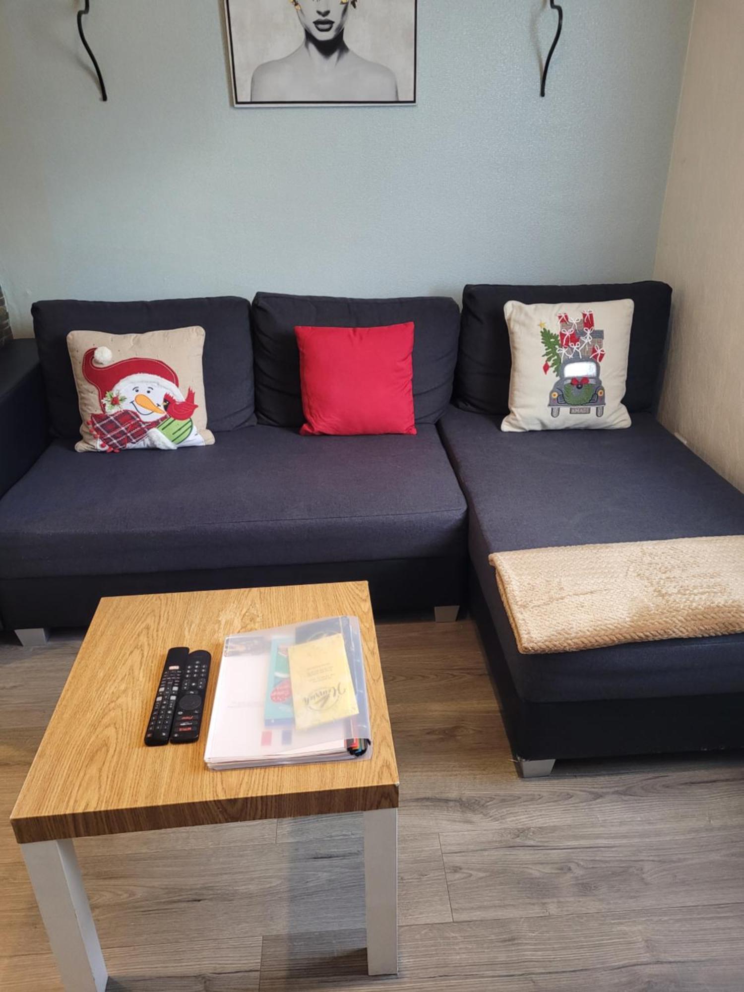 Appartement Au Cigogneau Wifi-Netflix-Balcon-Parking Munster  Exterior foto